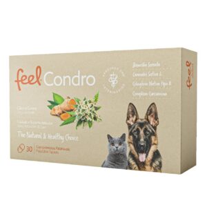 FEELCONDRO 30 CP.