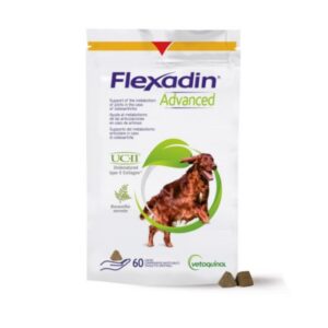 FLEXADIN ADVANCED 60CP. MAST.