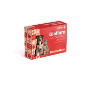 GLOFLAM 30 CAPS.