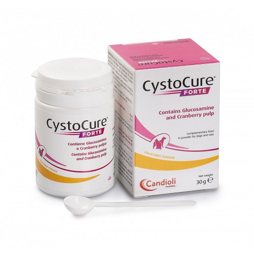 CYSTOCURE FORTE PO 30GR