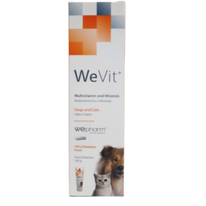 WEVIT PASTA 100GR