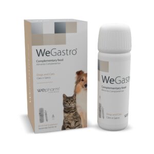 WEGASTRO ORAL 60ML