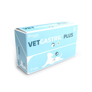 VETGASTRIL PLUS 48CP.
