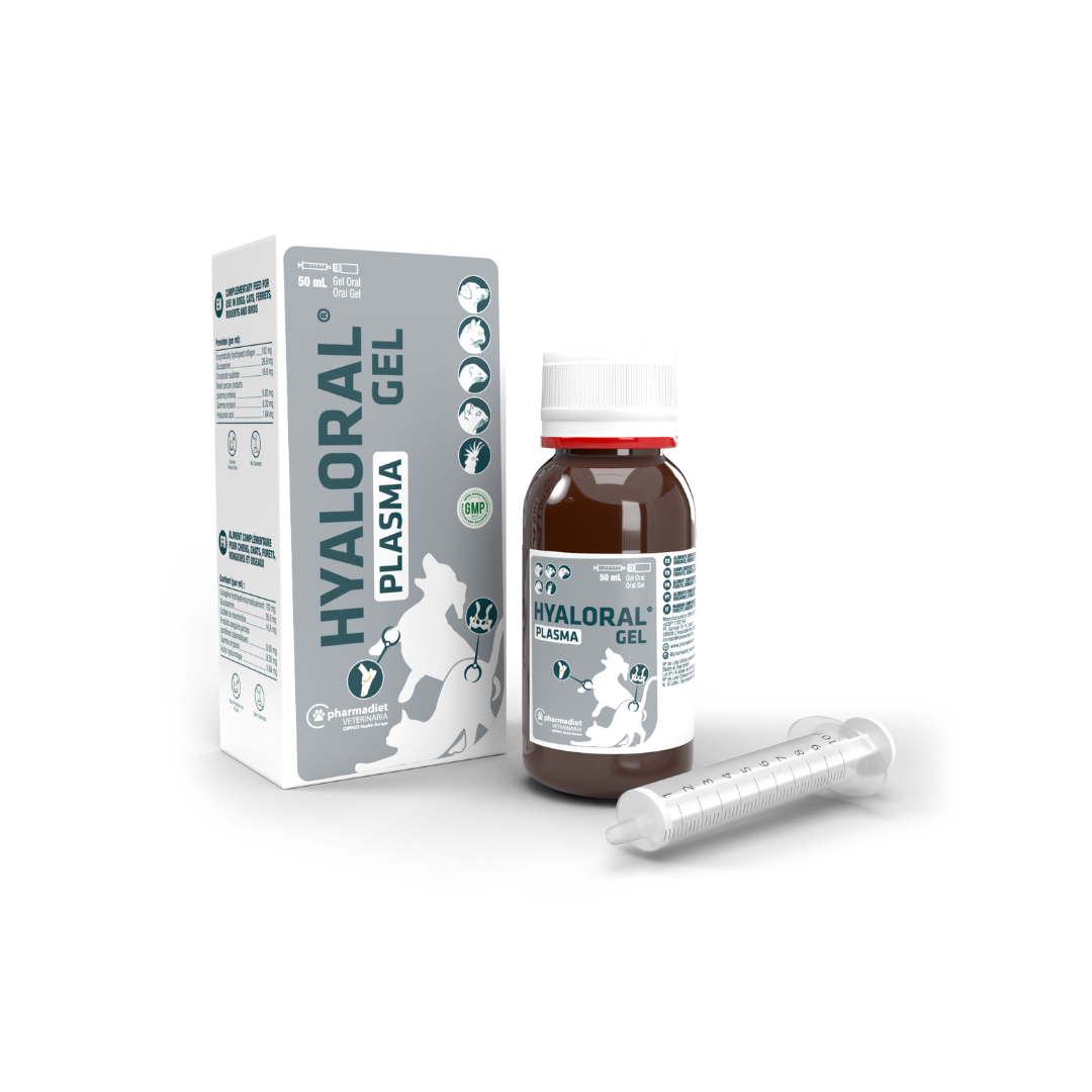 HYALORAL PLASMA GEL 50ml