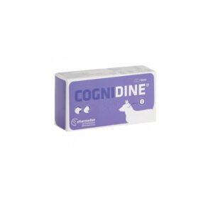 COGNIDINE 60CP.